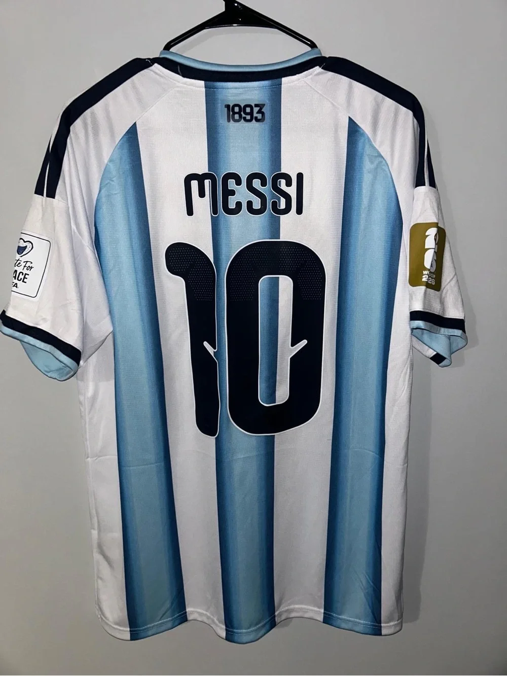 Argentina 2026 World Cup Home Jersey ( Fan Version ) #10 Messi